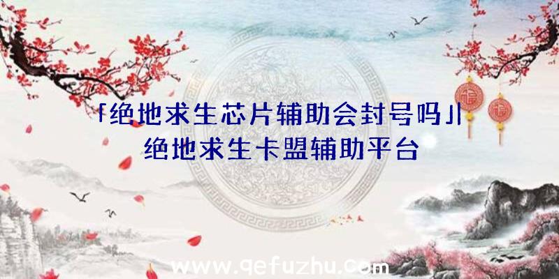 「绝地求生芯片辅助会封号吗」|绝地求生卡盟辅助平台